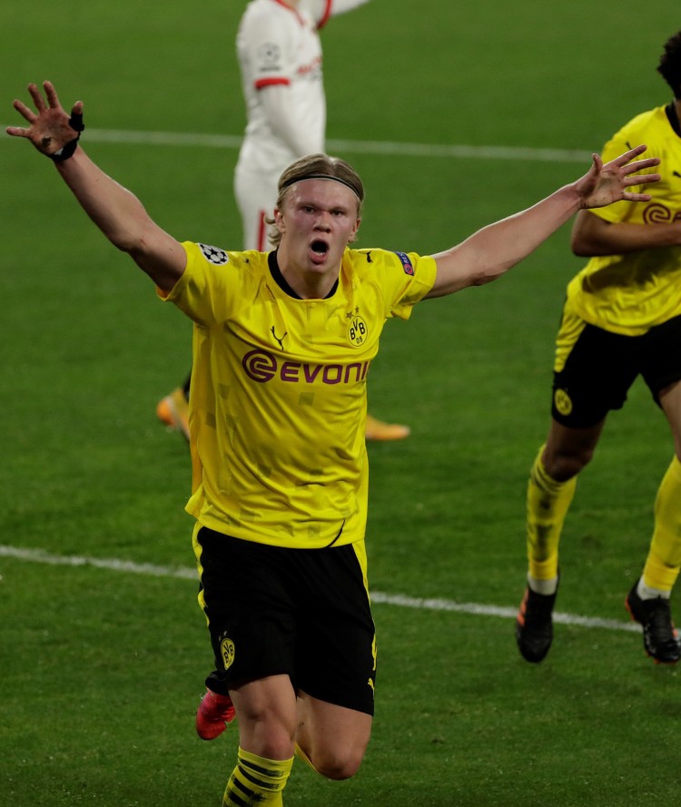 的布局高度 的布局高度