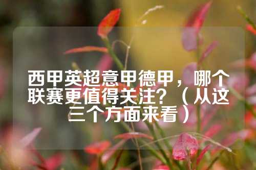 球迷立场加